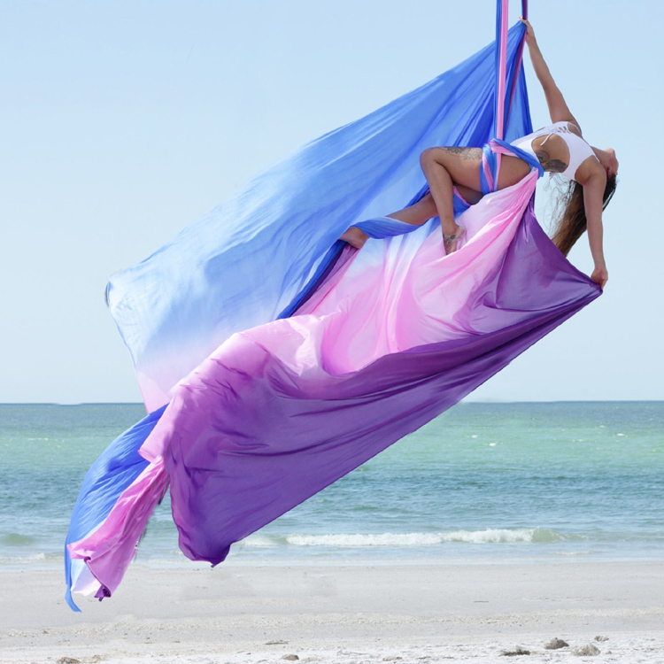 Aerial Yoga Swing, Durable Nyl - Yoga Fitness Studio review and price